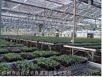 移動溫室大棚噴灌機(jī)
