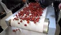 紅棗殺菌機 紅棗片微波殺菌設(shè)備 專業(yè)廠家定做紅棗片微波干燥殺菌機價格 微波殺菌設(shè)備廠家
