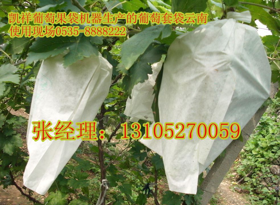 葡萄果袋机