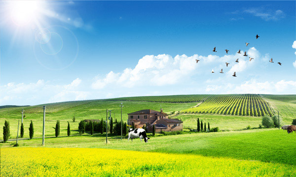 牙克石十个全覆盖让农民生活有了奔头_农村