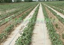 控制雜草生長的膜下軟管 河南濮陽清豐縣大田滴灌帶 滴灌帶