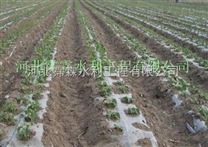 河南濮陽清豐縣大田滴灌帶 膜下軟管操作方便 滴灌帶