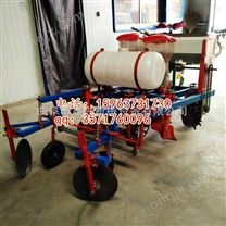花生精播機(jī) 花生覆膜播種機(jī) 四輪花生播種機(jī) 草莓種植機(jī)器設(shè)備