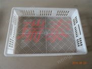 瑞泰小育雛框 全自動雞苗孵化機(jī)