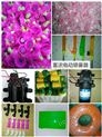 富濃電動噴霧器配件廠家 納米藍光消毒噴霧器